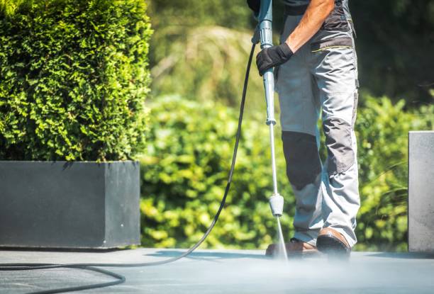 Best Sidewalk and Walkway Pressure Cleaning in Marseles, IL